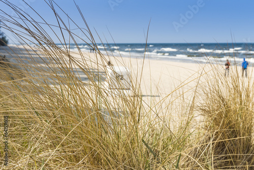 Dune with beach grass in the foreground.