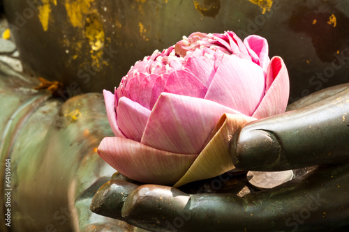 the pink lotus in hand of buddha Fototapeta