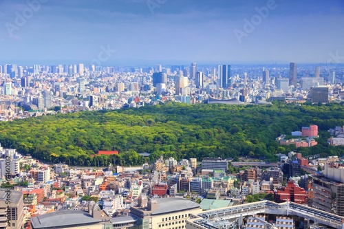 Tokyo, Japan - cityscape with Yoyogi park photo