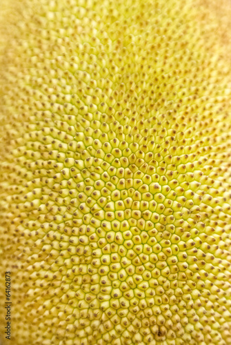 Closeup of jackfruit