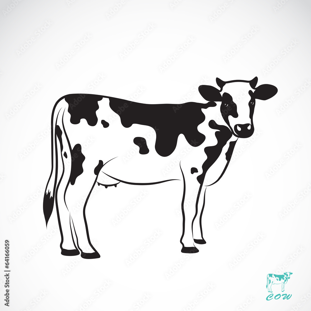 Vector image of an cow Vector image of an cow