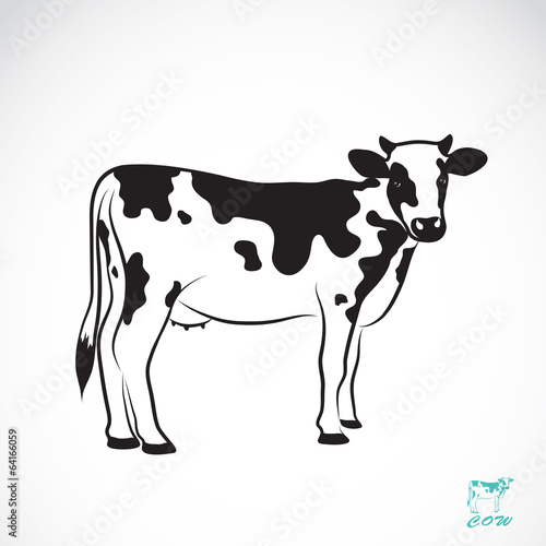 Vector image of an cow