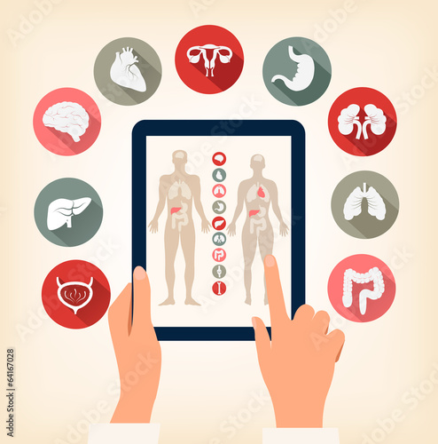 Two hands touching screen of a tablet with human organ icons. Ve