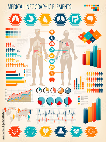 Medical infographics elements. Human body with internal organs.