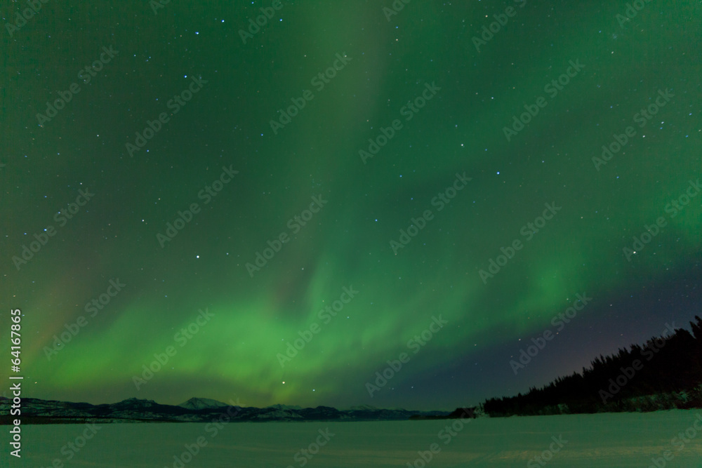 Northern Lights nightsky frozen Lake Laberge Yukon