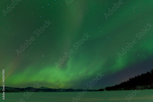 Northern Lights nightsky frozen Lake Laberge Yukon © PiLensPhoto