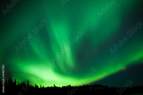 Boreal forest taiga Northern Lights substorm swirl photo
