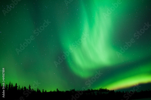 Aurora borealis substorm swirls over boreal forest photo