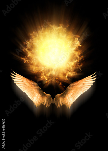 Wings against the backdrop of hot sun