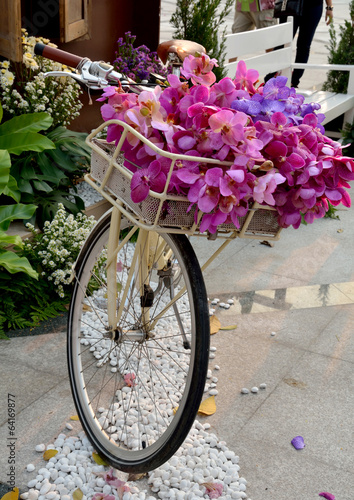 bicycle and flower