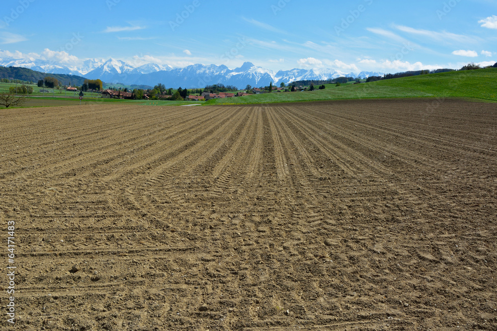 Fototapeta premium The Swiss Village Surrounded and Plowed Fields