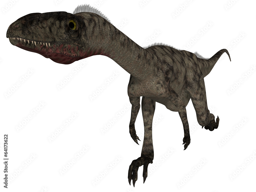 Coelophysis - 3D Dinosaur