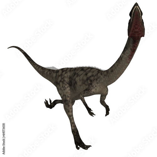 Coelophysis - 3D Dinosaur © Andreas Meyer