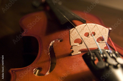 violin