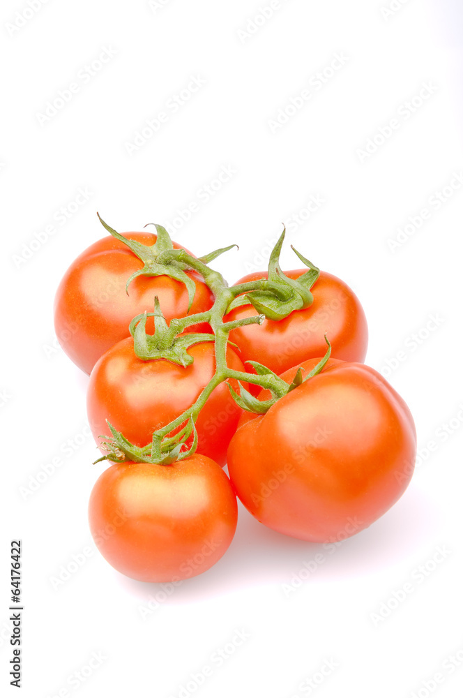 Bunch of fresh tomatoes , Isolated on white background. Bunch of fresh tomatoes , Isolated on white background.