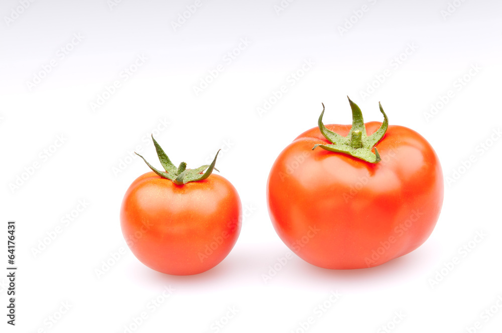 Bunch of fresh tomatoes , Isolated on white background. Bunch of fresh tomatoes , Isolated on white background.