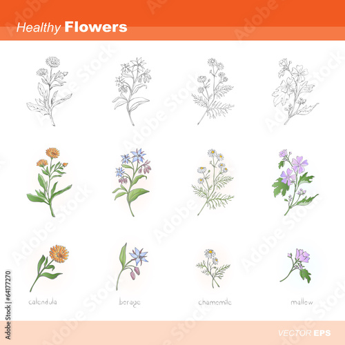 Healthy flowers