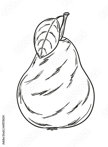 pear sketch