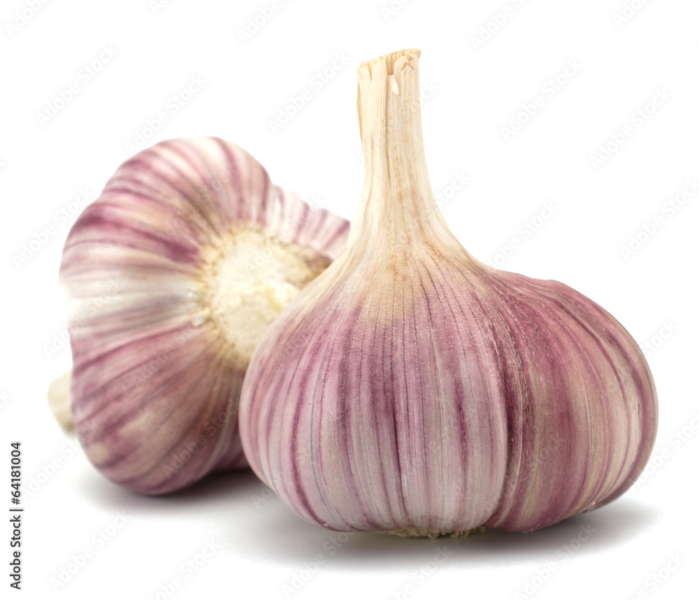 Fototapeta premium Garlic bulb isolated on white background