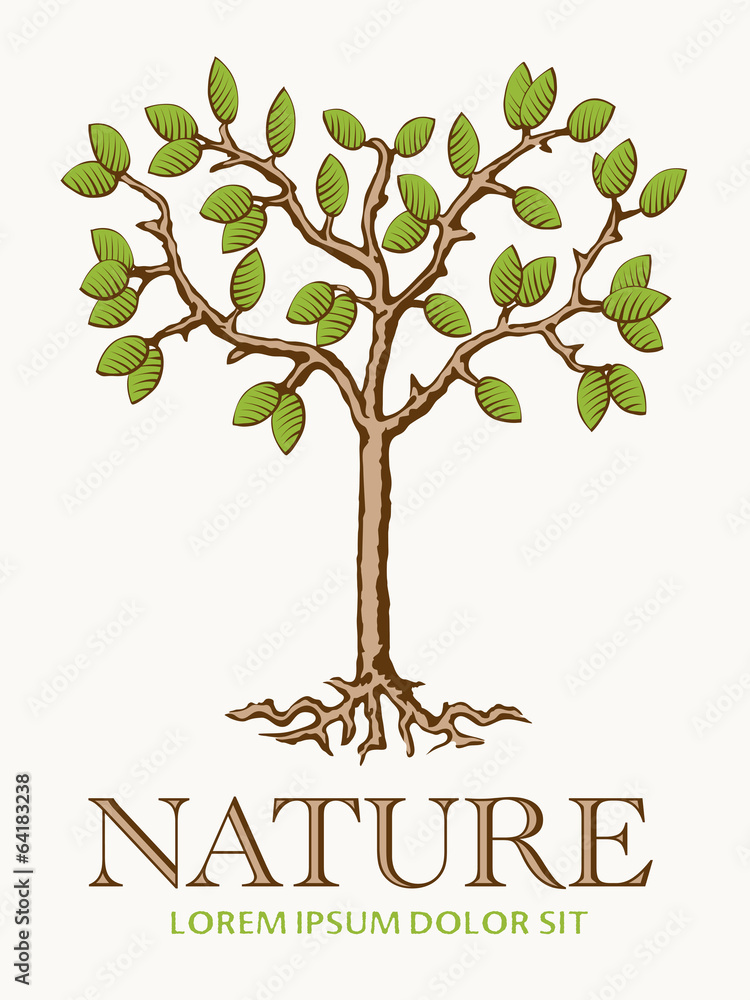Obraz premium Tree Nature Symbol Vector template