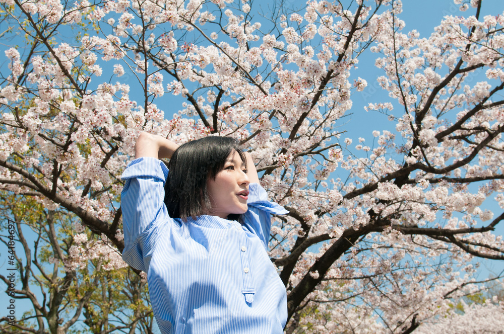 桜と女性 桜と女性