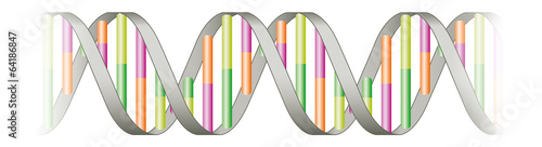 DNA helix