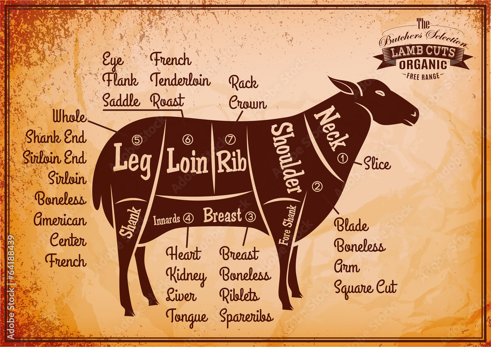 poster with detailed diagram cutting lamb Stock Vector | Adobe Stock