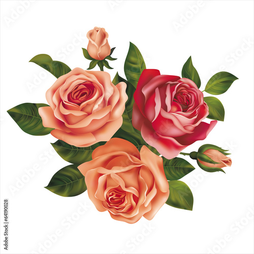 Roses bouquet on white. Vector illustration.