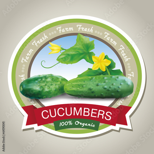 Fresh cucumbers label. Vector illustration.