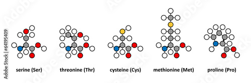 Serine, threonine, cysteine, methionine and proline amino acids.