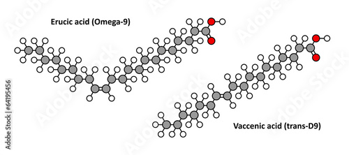 Erucic (omega-9, cis) and vaccenic (omega-7, trans) fatty acid.