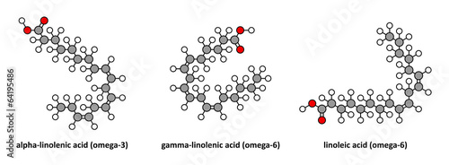 Alpha-linolenic (omega-3, ALA), gamma-linolenic (omega-6), ... photo
