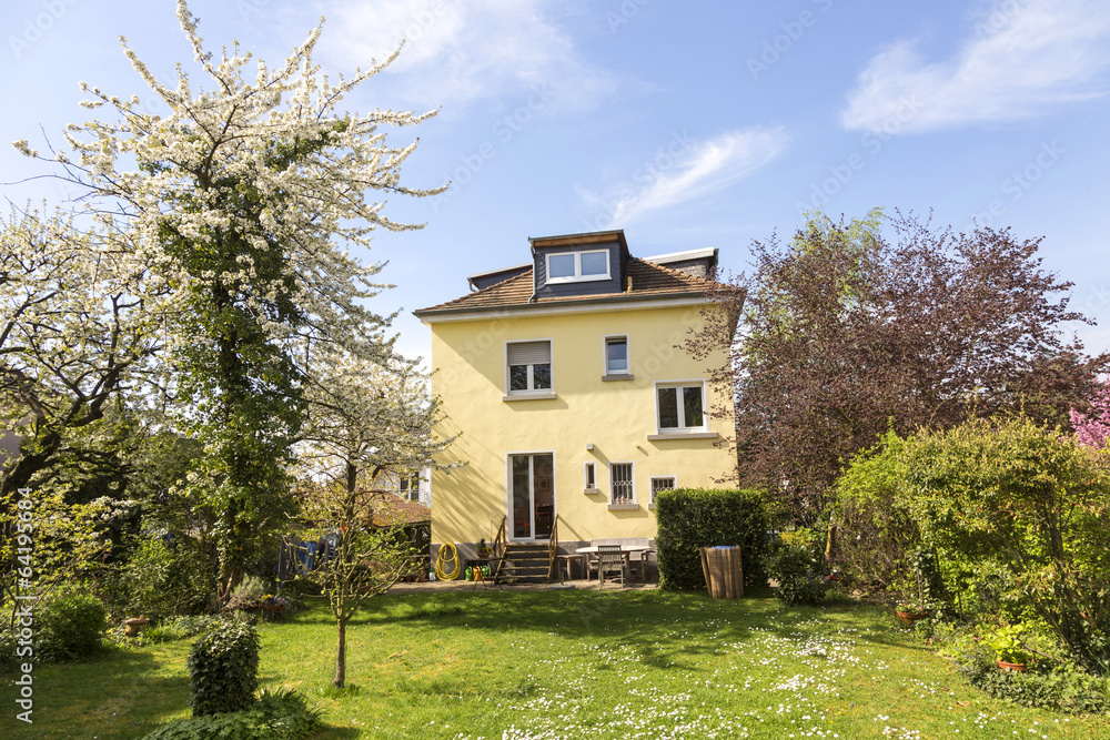 apple tree in the garden of a germany ols one family house apple tree in the garden of a germany ols one family house