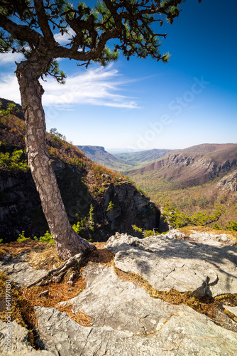 Birds eye view of the Linville Gorge