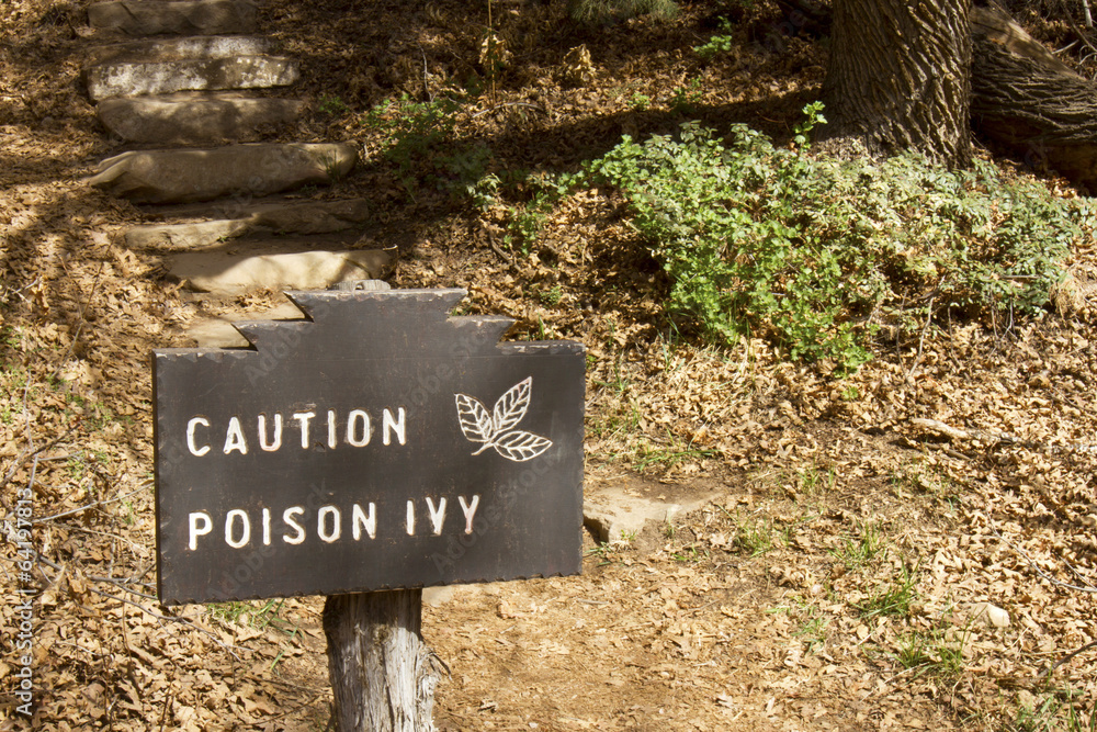 Caution Poison Ivy