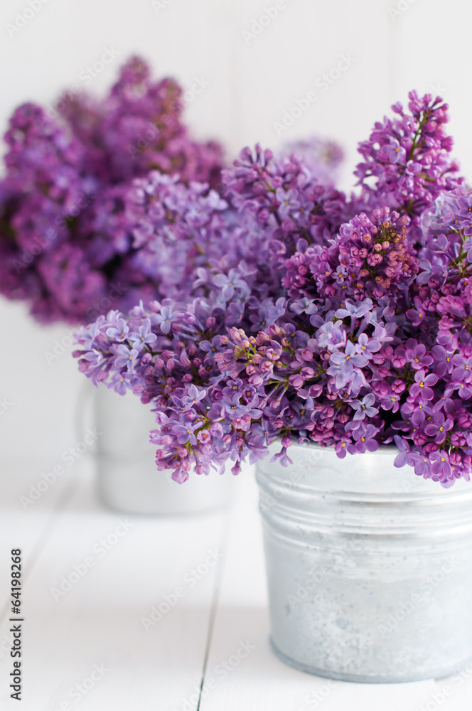 Two bouquet of lilac flowers