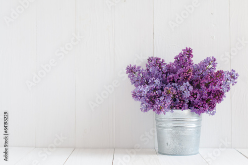 flowers of lilac © Daria Minaeva