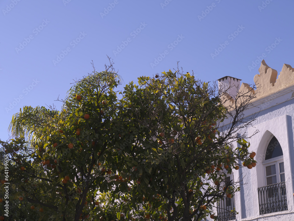Naklejka premium Typical Houses in Nerja Andalucia Spain