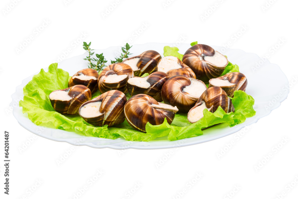 Escargot Escargot