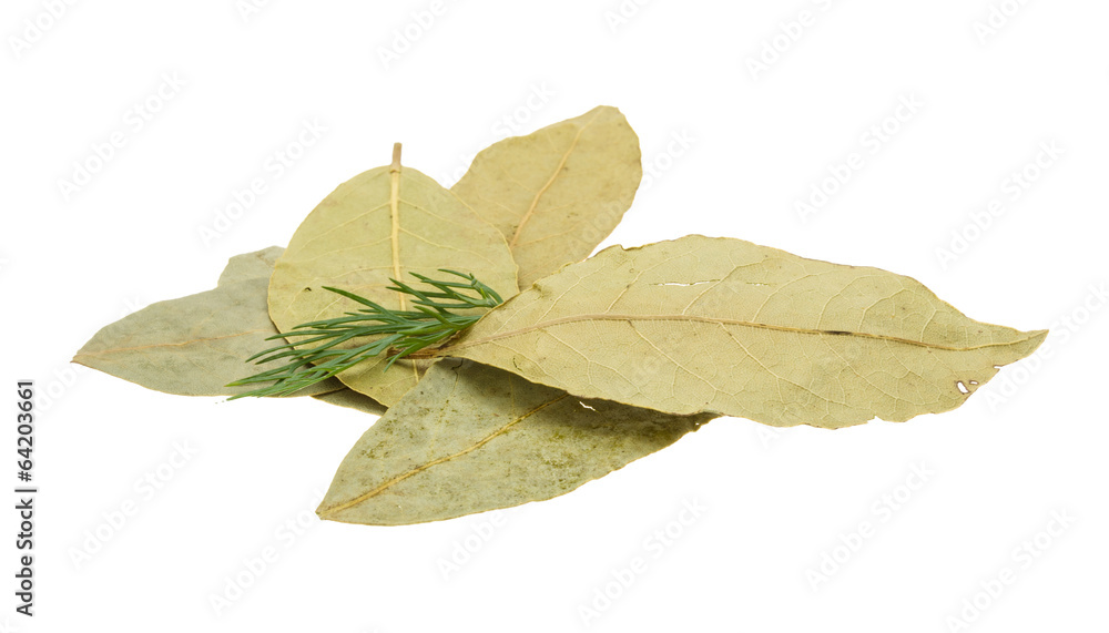 Obraz premium Laurel leaves heap