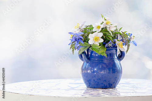Springflowers in a pot on a...