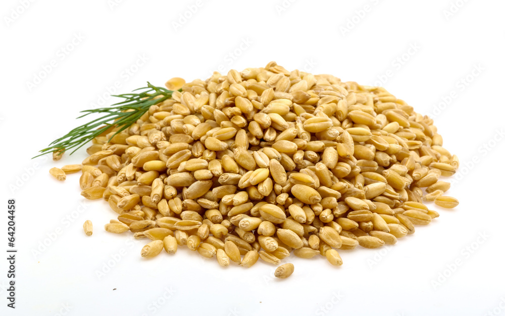 Gold rice Gold rice