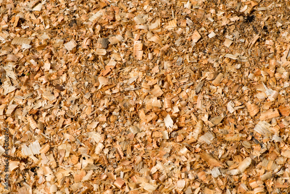 Wooden shavings background Wooden shavings background