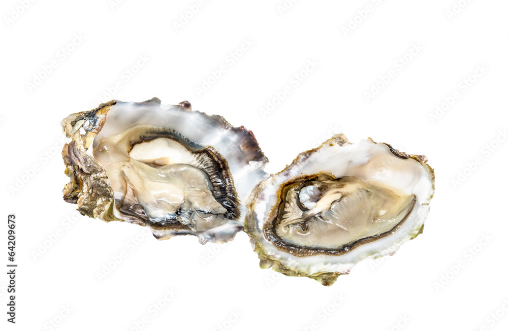 Two fresh oysters Two fresh oysters