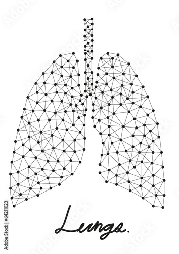 abstract of lungs line in vector