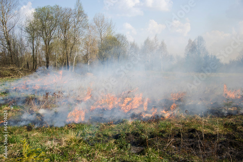 Fire on dry grass © Kate