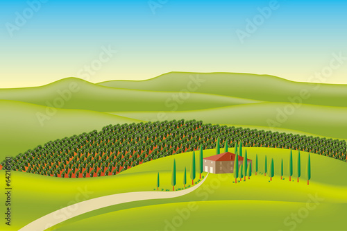 Landscape with vineyard and mountain