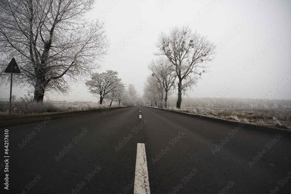 Road on a cold foggy winter's day
