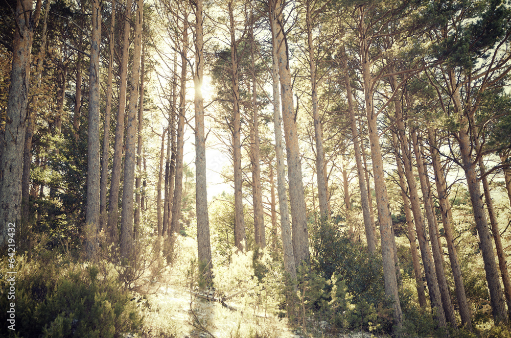 Obraz premium Moncayo