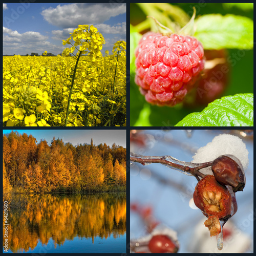 four seasons in one pic